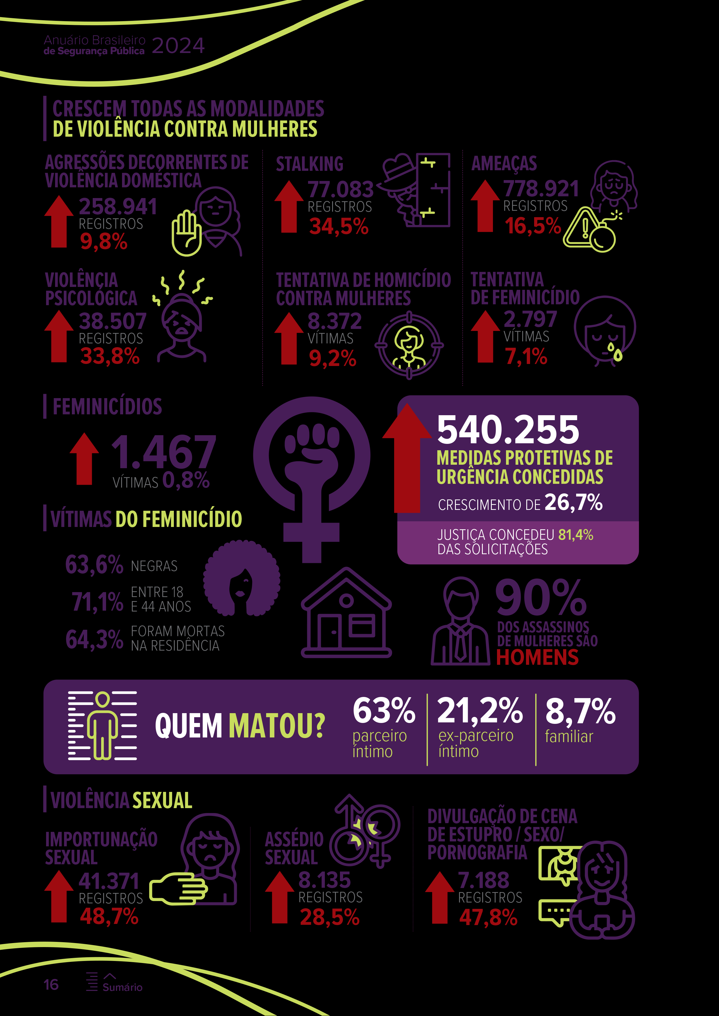 Anuario-Brasileiro-de-Seguranca-Publica-2024-16.png